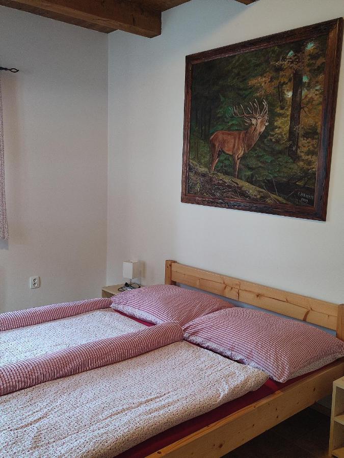 apartmány pod Vysákem Stárkov Esterno foto