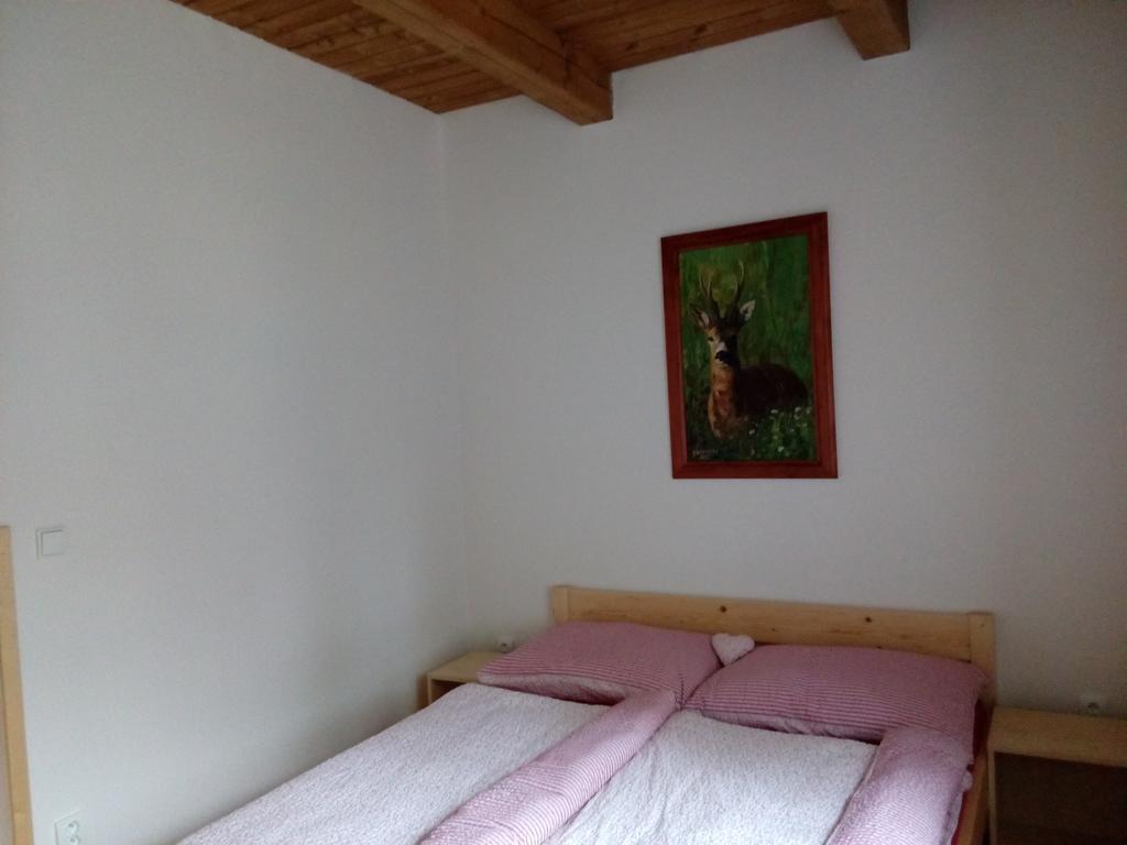 apartmány pod Vysákem Stárkov Esterno foto